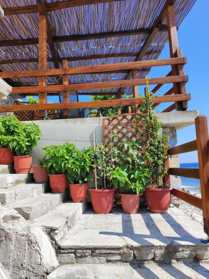 Villa Συγκρότημα Διαμερισμάτων "Όνειροι" - Ίκελος à Zagora Extérieur photo